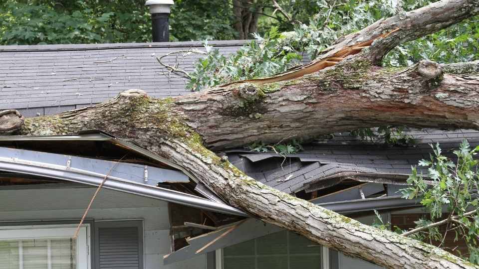 Storm Damage