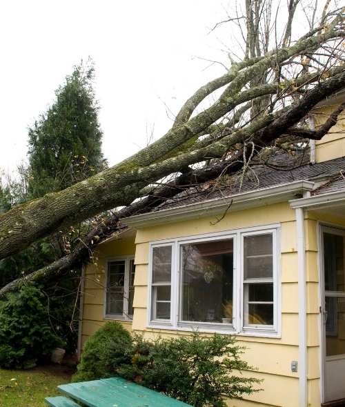 Storm Damage Storm Damage